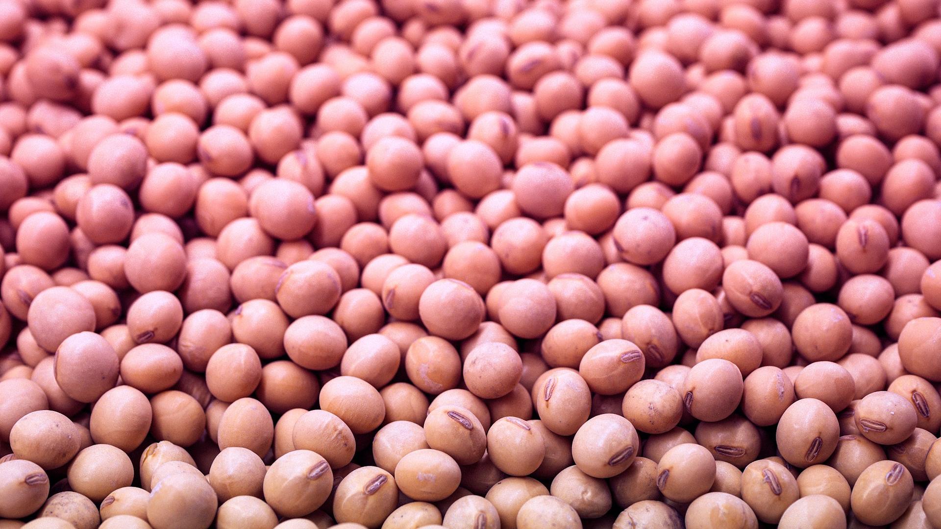 a close up of a bunch of nuts on a table